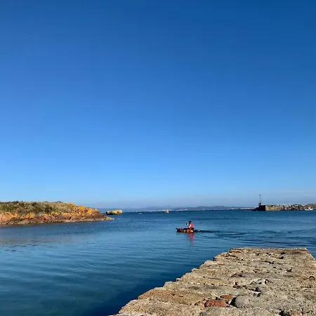 O Pisino * Palmeira